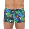 Boxer Bain Toucan Pour Homme Navy Print