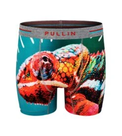 Boxer En Coton Bio Pullin Cameleon