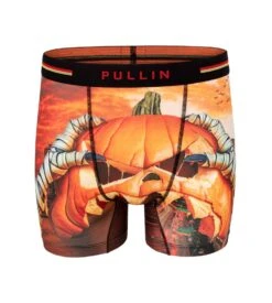 PULLIN Boxer En Lycra Fashion 2 Scarypum