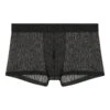 Hom Boxer En Tulle Graphique Rudy Black