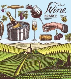 PULLIN Boxer Fashion 2 French Wine -Sousvêtement Magasin boxer fashion 2 french wine imprime 2