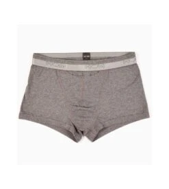 Hom Boxer HO1 Avec Ouverture Horizontale GRIS