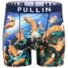 PULLIN Boxer Homme Fashion 2 Spacecats