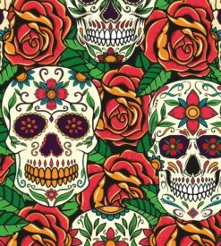 PULLIN Boxer Homme Master Muerte