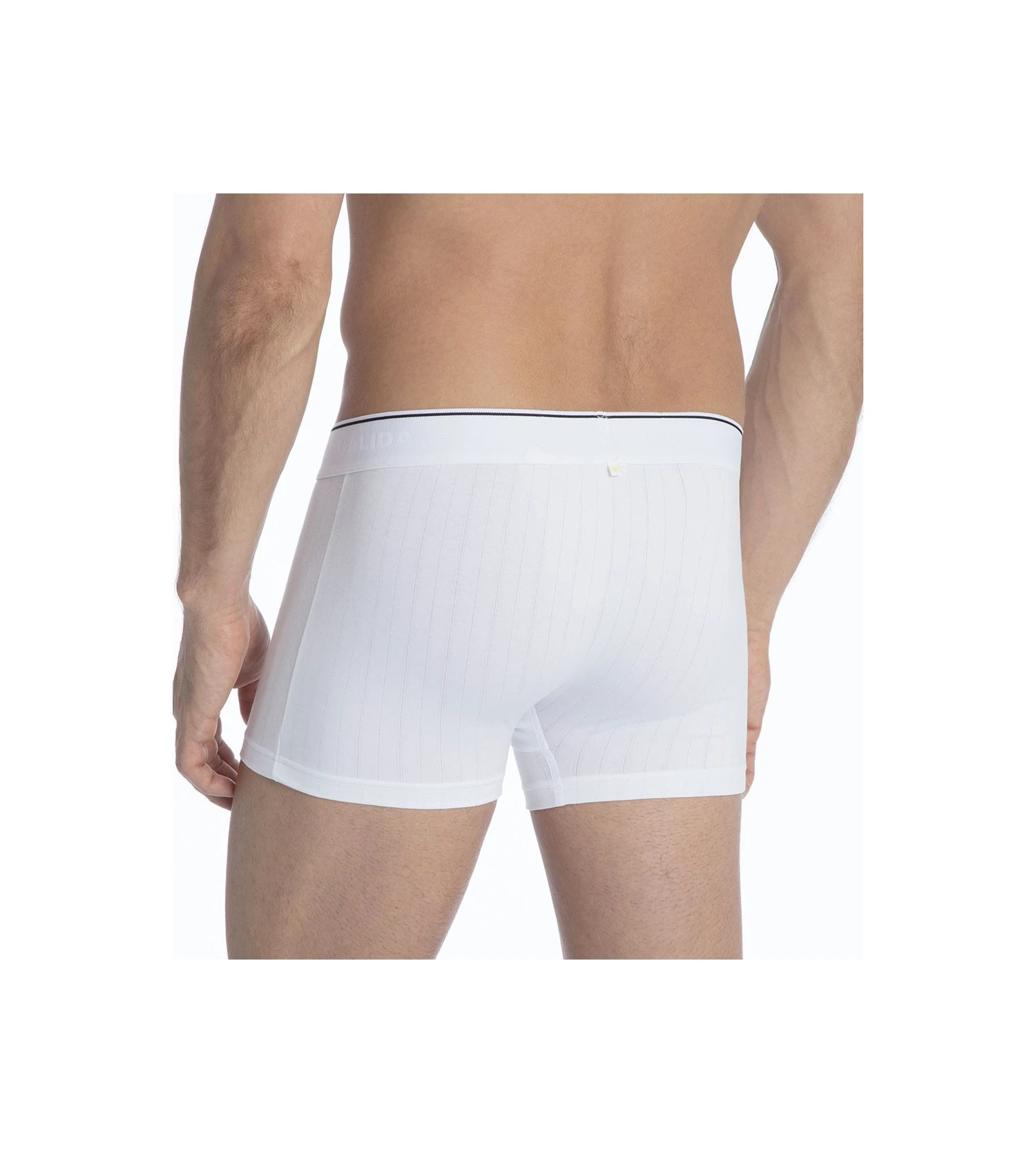 Calida Boxer Homme Respirant Pure & Style BLANC 2 Calida Boxer Homme Respirant Pure & Style BLANC – Image 2