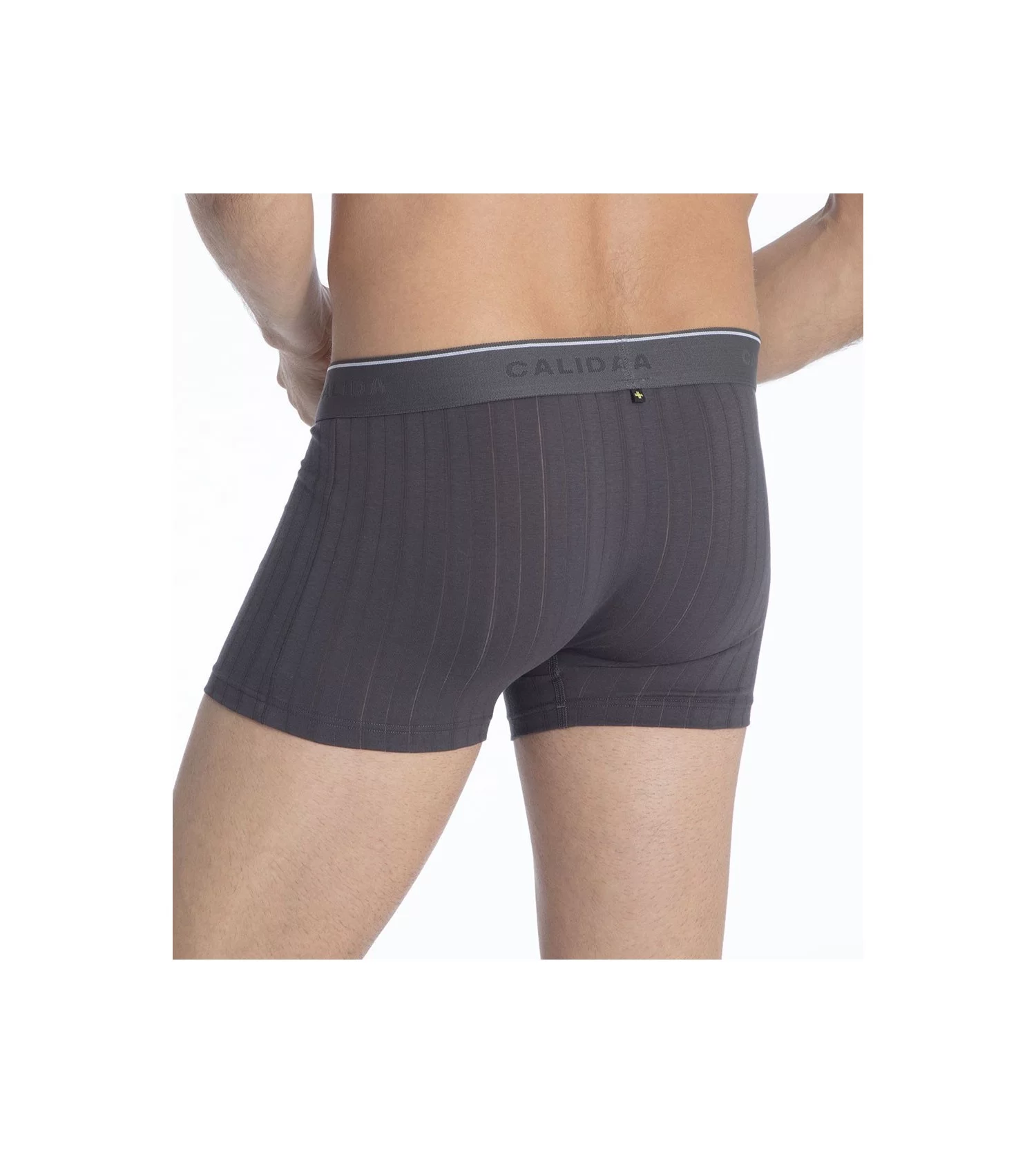 Calida Boxer Homme Respirant Pure & Style GRIS 2 Calida Boxer Homme Respirant Pure & Style GRIS – Image 2