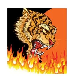 PULLIN Boxer Homme Tigerflame 5 PULLIN Boxer Homme Tigerflame -Sousvêtement Magasin boxer homme tigerflame imprime 2