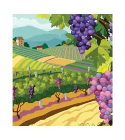 PULLIN Boxer Homme Vineyard -Sousvêtement Magasin boxer homme vineyard imprime 2