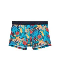 Hom Boxer Liam Navy Print