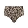 Chantelle Culotte Taille Haute Softstretch Leopard Nude
