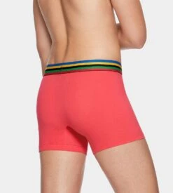 Eden Park Lot De 2 Boxers Design Olympique Sassy/ Marine 6 Eden Park Lot De 2 Boxers Design Olympique Sassy/ Marine -Sousvêtement Magasin lot de 2 boxers design olympique na001 sassy marine 2