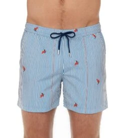 Short De Plage Homme Rayé Roxo Blue/White Stripes 11 Short De Plage Homme Rayé Roxo Blue/White Stripes -Sousvêtement Magasin short de plage roxo pour homme r0bw blue white stripes 2