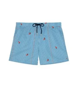 Short De Plage Homme Rayé Roxo Blue/White Stripes