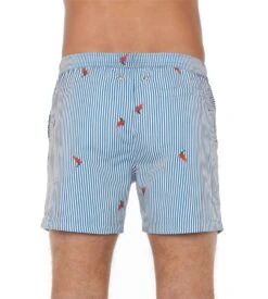Short De Plage Homme Rayé Roxo Blue/White Stripes 12 Short De Plage Homme Rayé Roxo Blue/White Stripes -Sousvêtement Magasin short de plage roxo pour homme r0bw blue white stripes 3