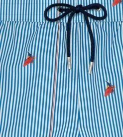 Short De Plage Homme Rayé Roxo Blue/White Stripes 16 Short De Plage Homme Rayé Roxo Blue/White Stripes -Sousvêtement Magasin short de plage roxo pour homme r0bw blue white stripes 7